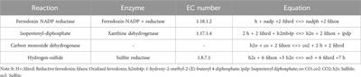 Reconstruction of the genome-scale metabolic network model of Sinorhizobium fredii CCBAU45436 for free-living and symbiotic states